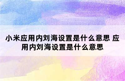 小米应用内刘海设置是什么意思 应用内刘海设置是什么意思